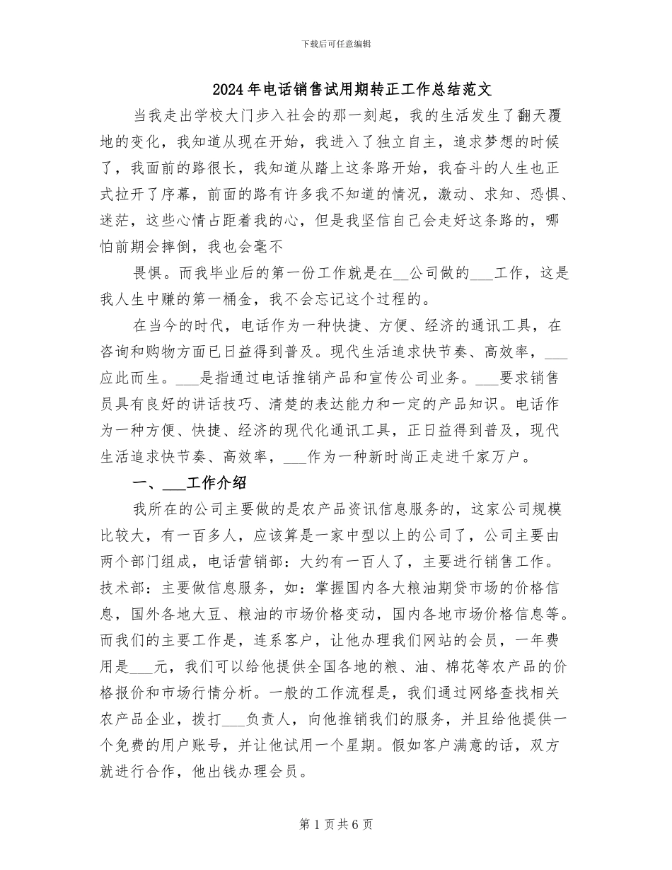 2024年电话销售试用期转正工作总结范文_第1页