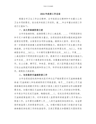 2024年疾控工作总结