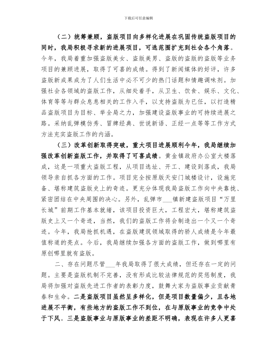 2024年盗版局工作总结_第2页