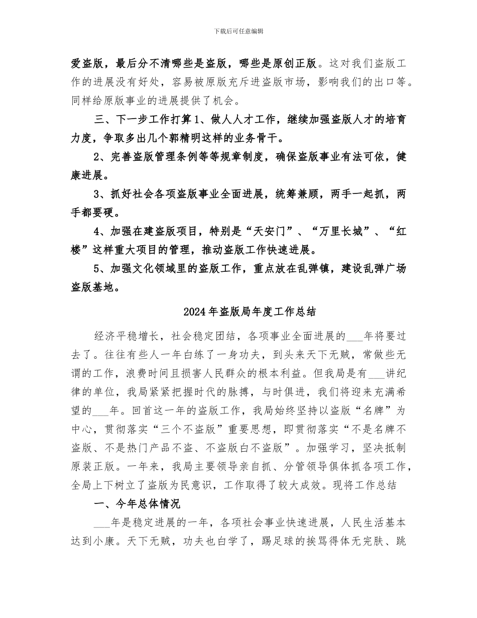 2024年盗版局工作总结_第3页