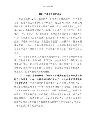 2024年盗版局工作总结