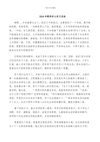 2024年眼科护士实习总结