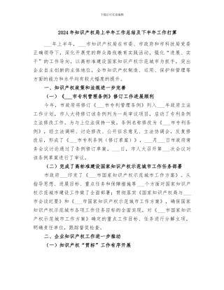 2024年知识产权局上半年工作总结及下半年工作打算