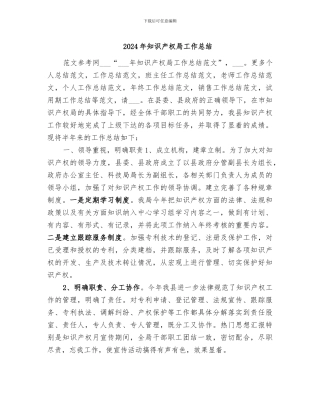 2024年知识产权局工作总结