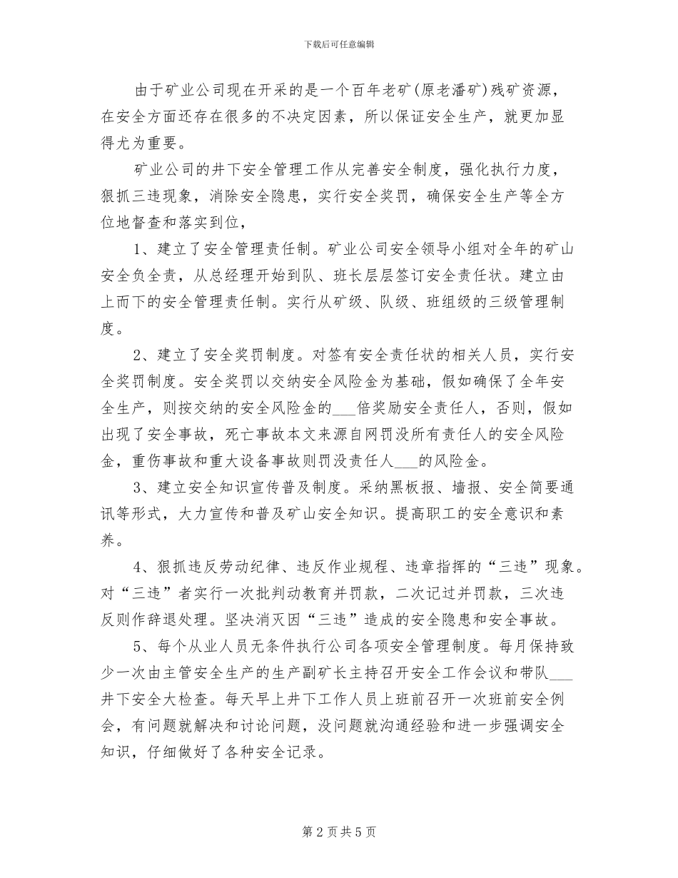 2024年矿业公司年度工作总结_第2页