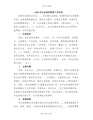 2024年社会组织管理工作总结