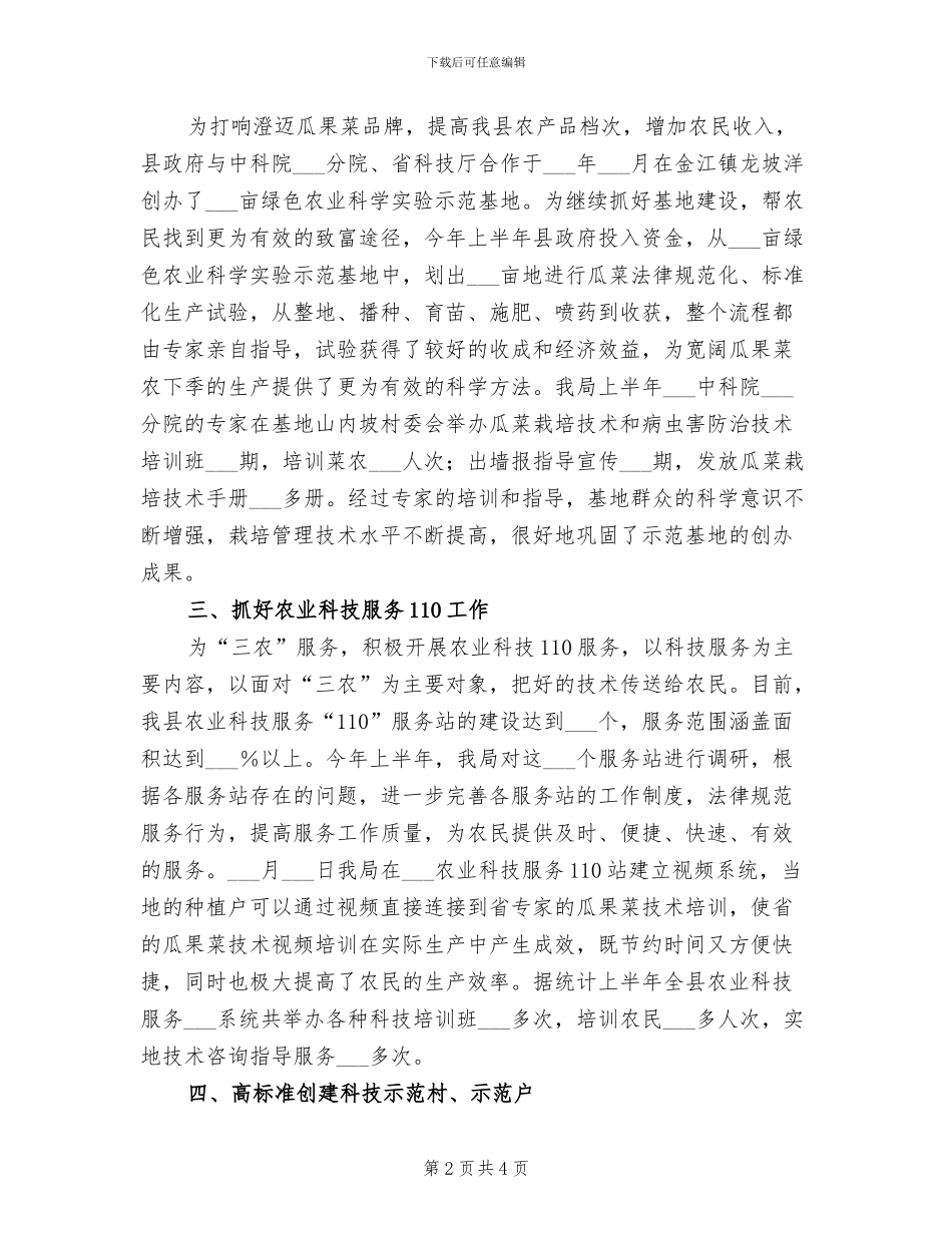 2024年科技与信息产业局工作总结_第2页