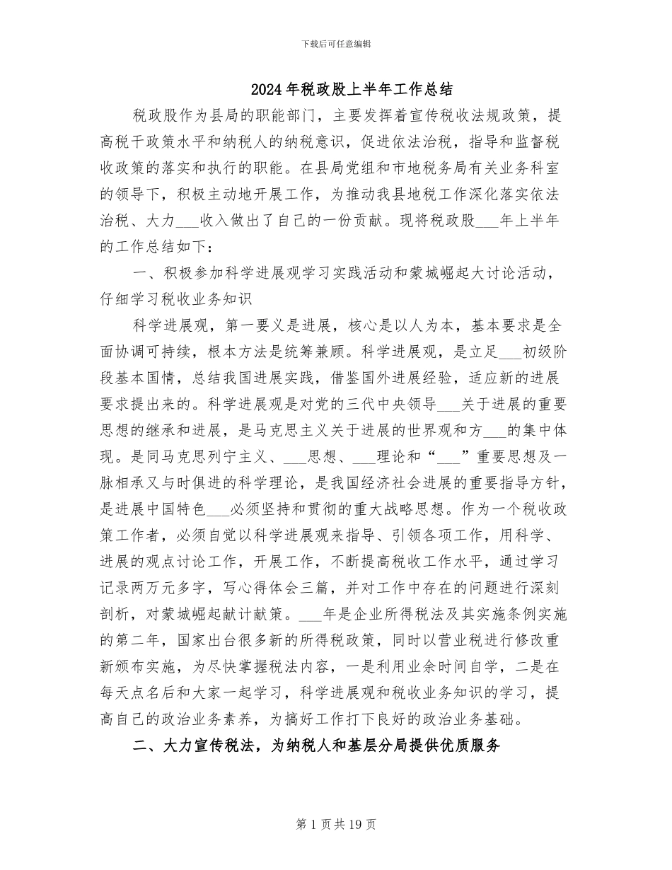 2024年税政股上半年工作总结_第1页