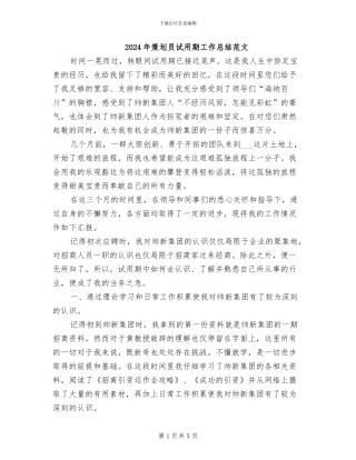 2024年策划员试用期工作总结范文