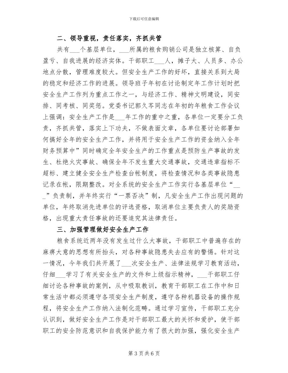 2024年粮食局安全整治工作年终总结_第3页