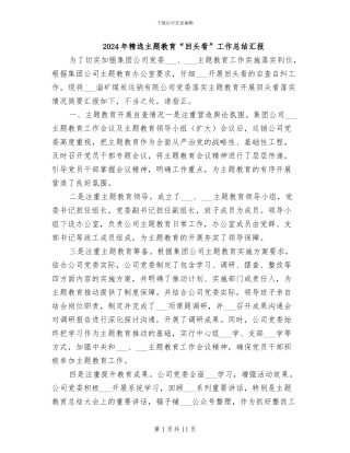 2024年精选主题教育“回头看”工作总结汇报