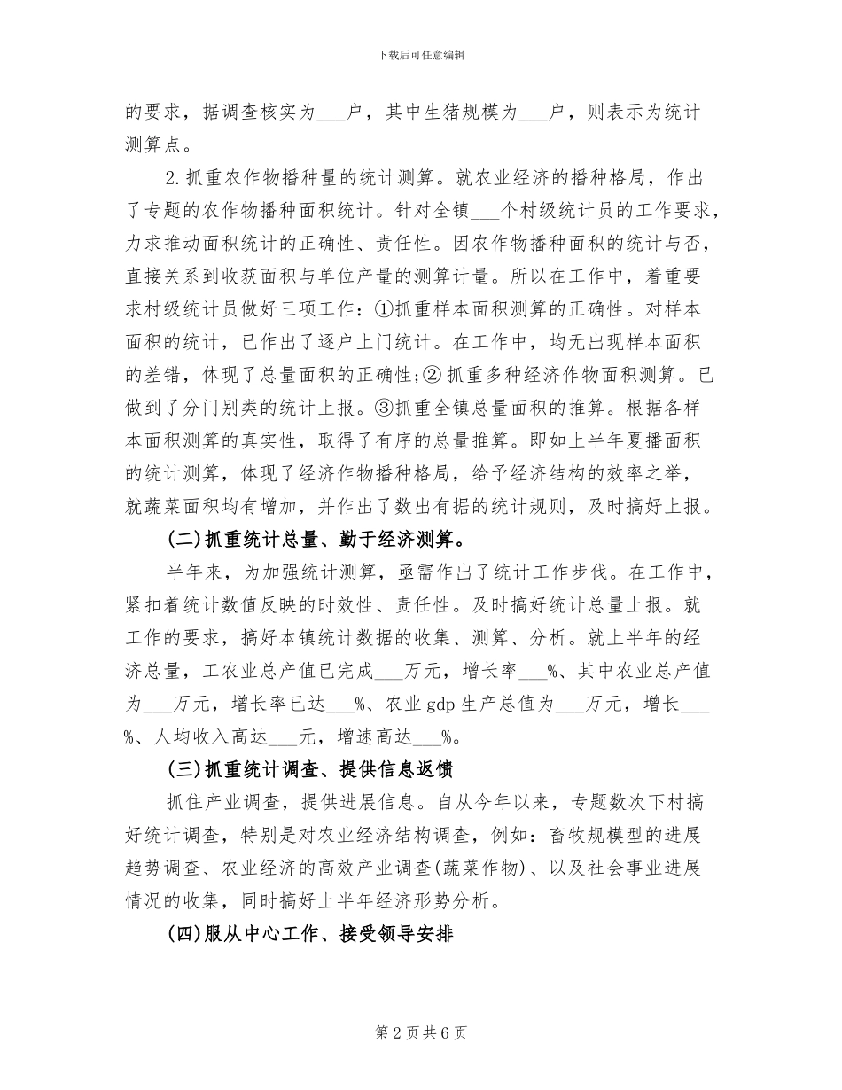 2024年精选乡镇统计工作半年总结_第2页