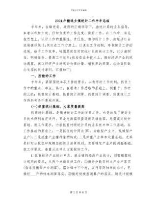 2024年精选乡镇统计工作半年总结