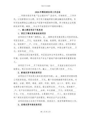 2024年精选商务局工作总结