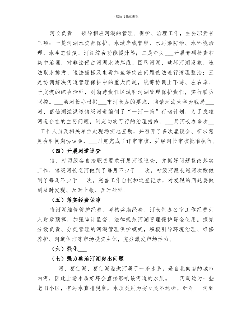 2024年精选河长制工作总结_第2页