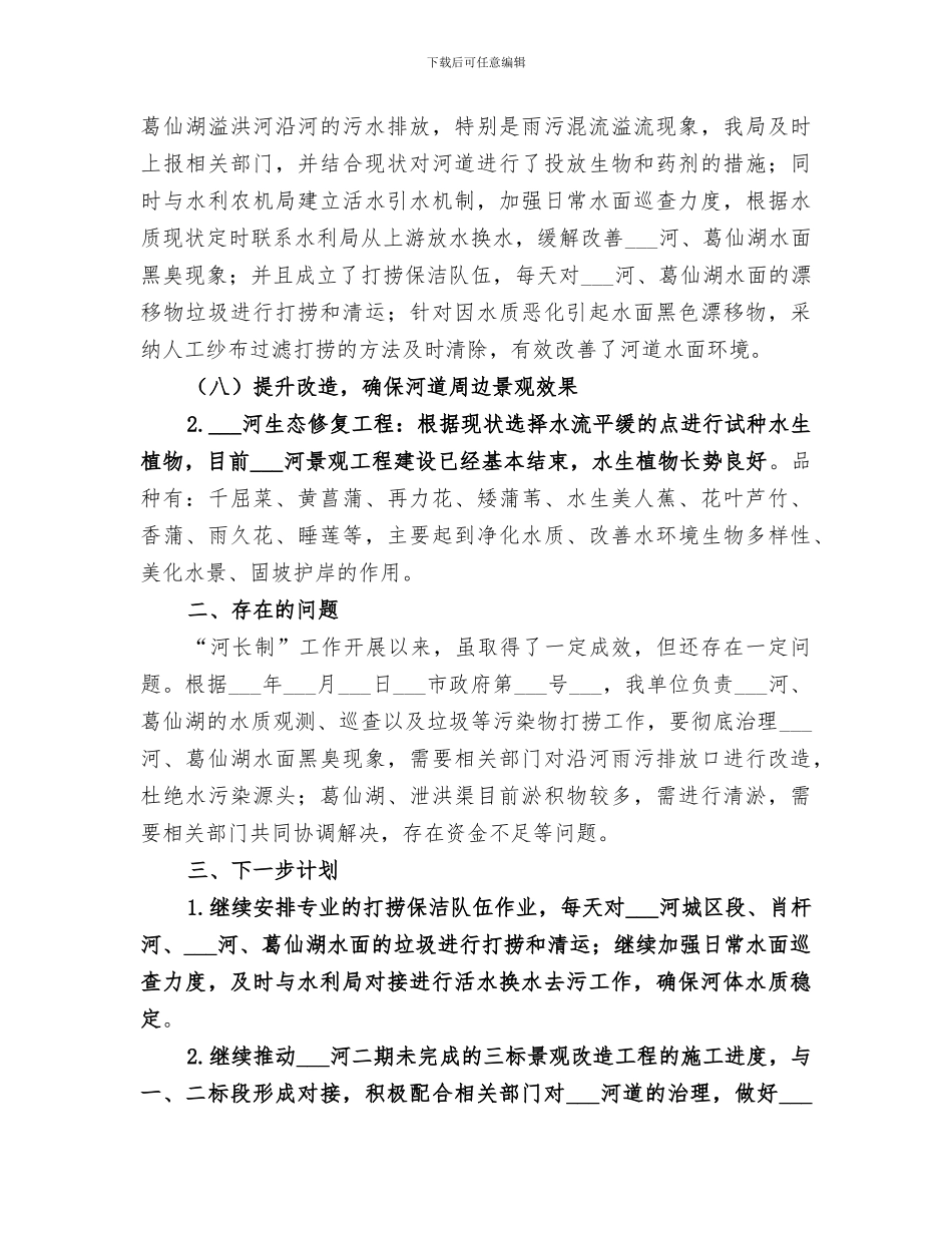 2024年精选河长制工作总结_第3页