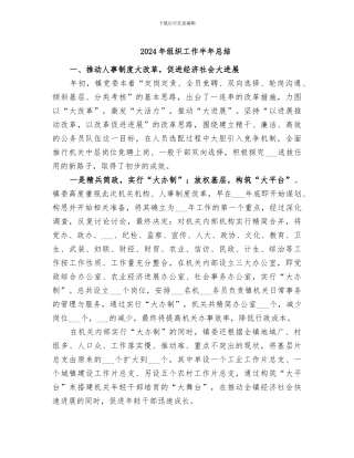 2024年组织工作半年总结