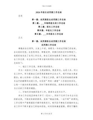2024年组长试用期工作总结