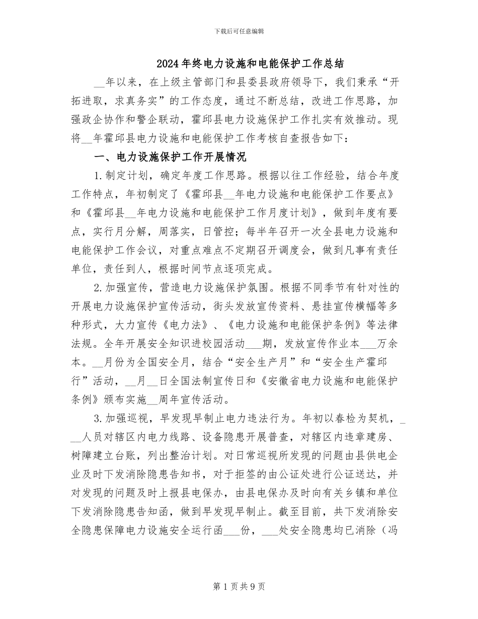 2024年终电力设施和电能保护工作总结_第1页