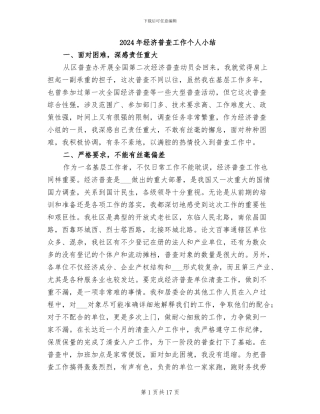 2024年经济普查工作个人小结