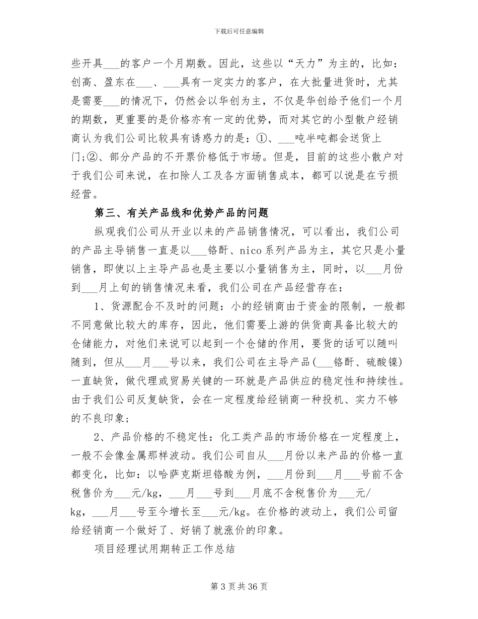 2024年经理试用期工作总结_第3页