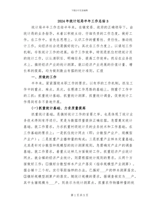 2024年统计划局半年工作总结3