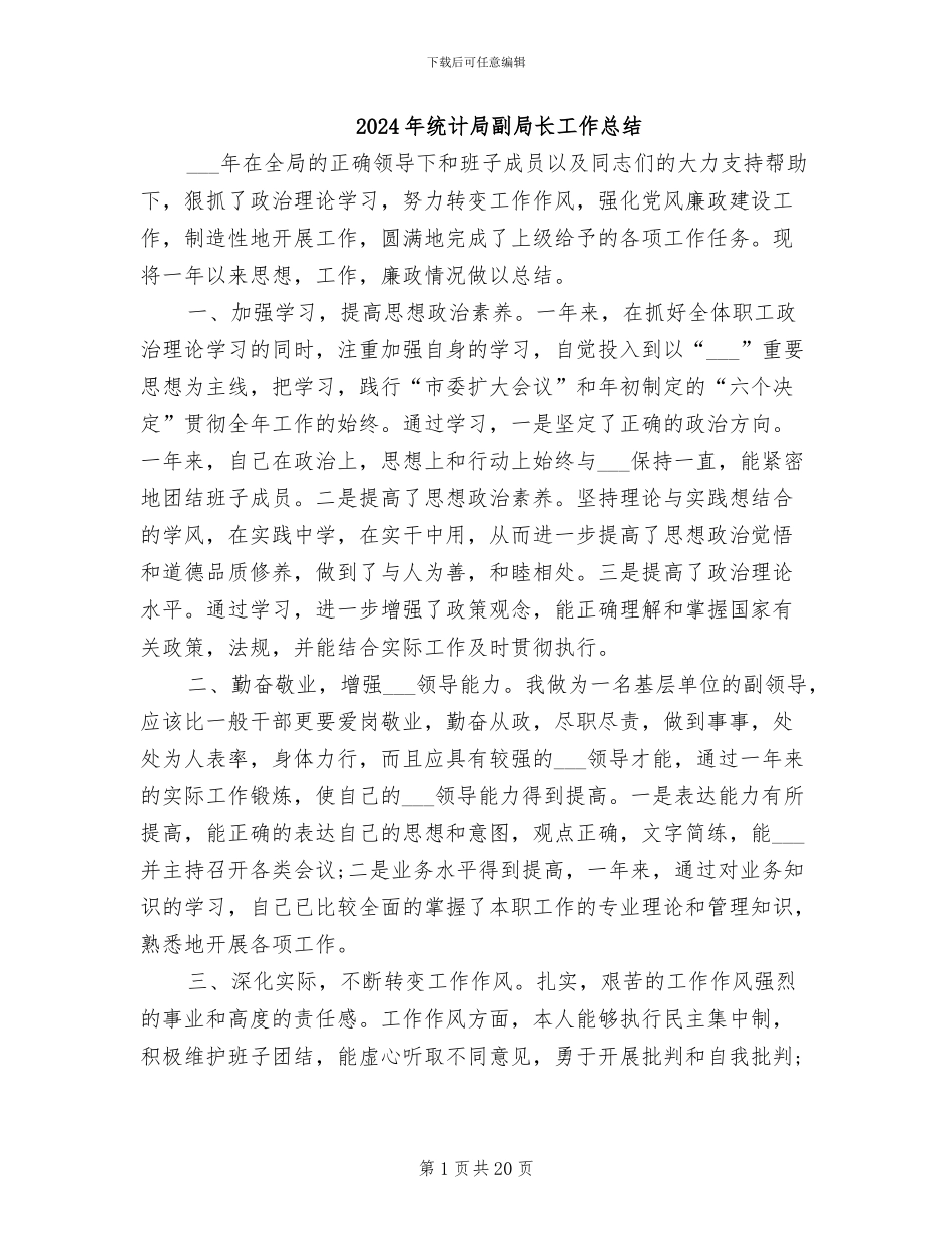 2024年统计局副局长工作总结_第1页