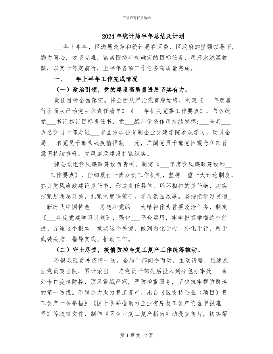 2024年统计局半年总结及计划_第1页