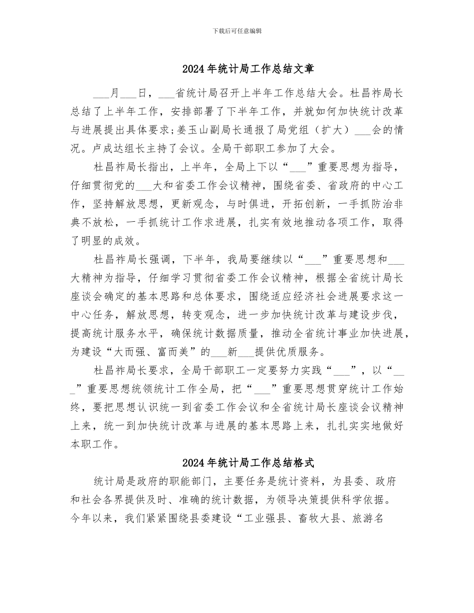 2024年统计局工作总结文章_第1页