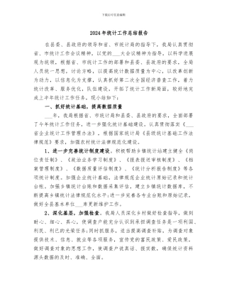 2024年统计工作总结报告