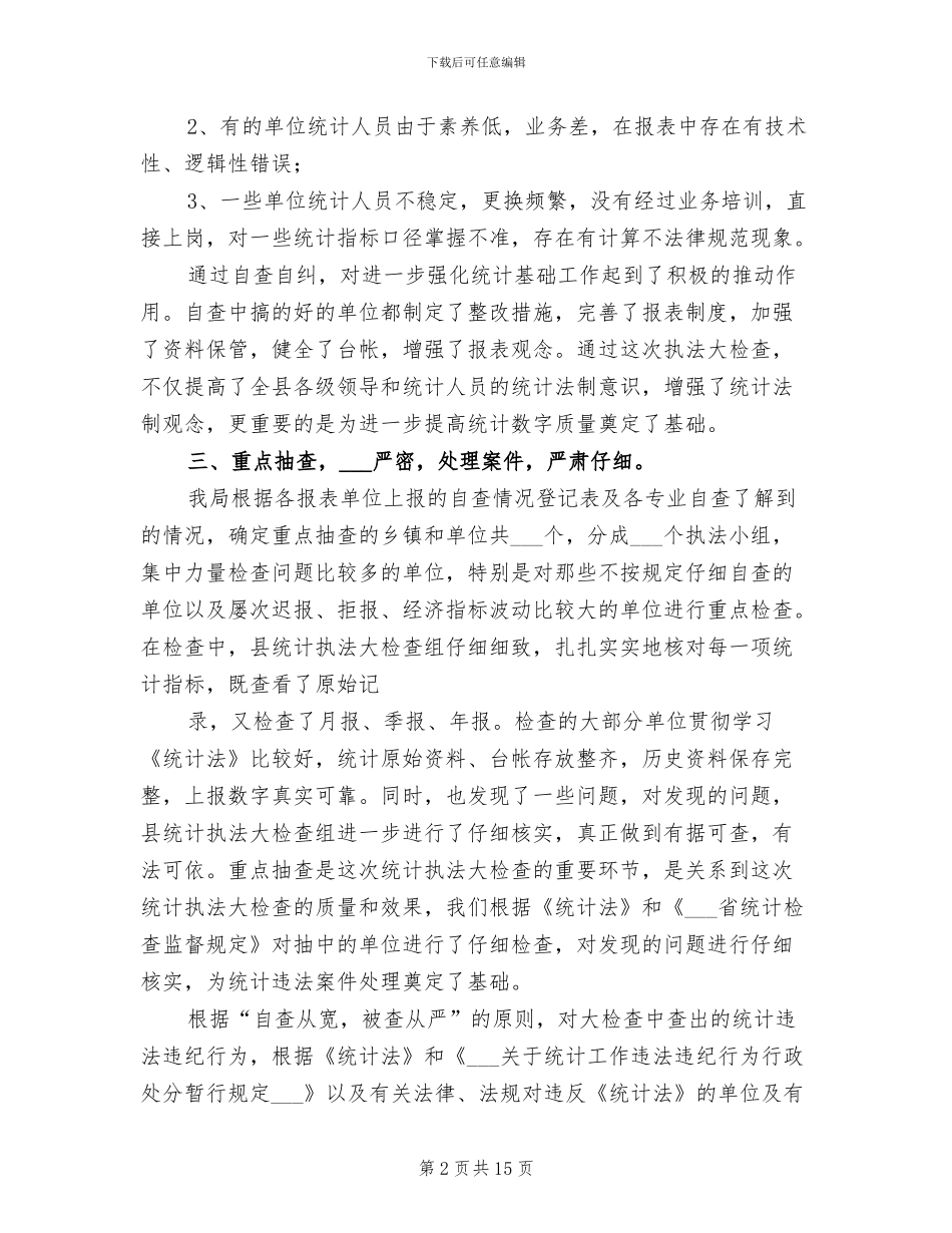 2024年统计执法大检查工作总结_第2页