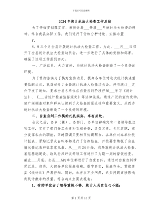 2024年统计执法大检查工作总结