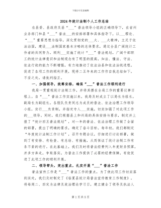 2024年统计法制个人工作总结