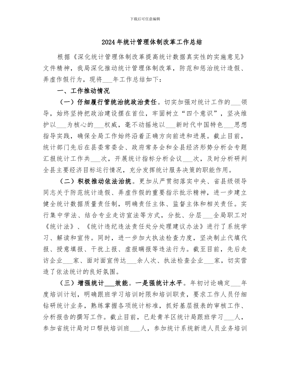 2024年统计管理体制改革工作总结_第1页