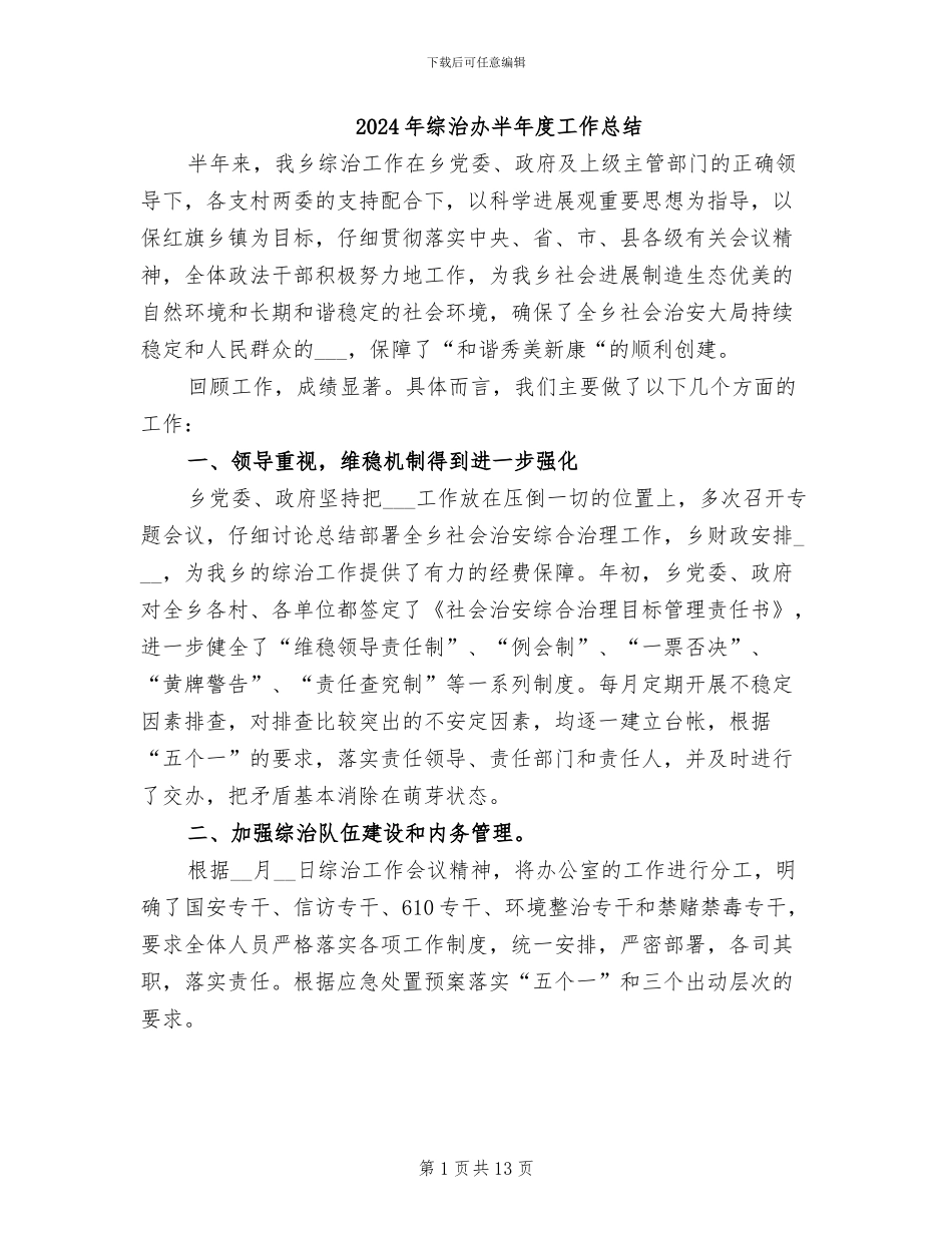 2024年综治办半年度工作总结_第1页