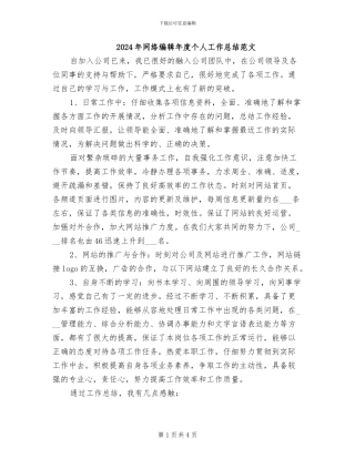 2024年网络编辑年度个人工作总结范文