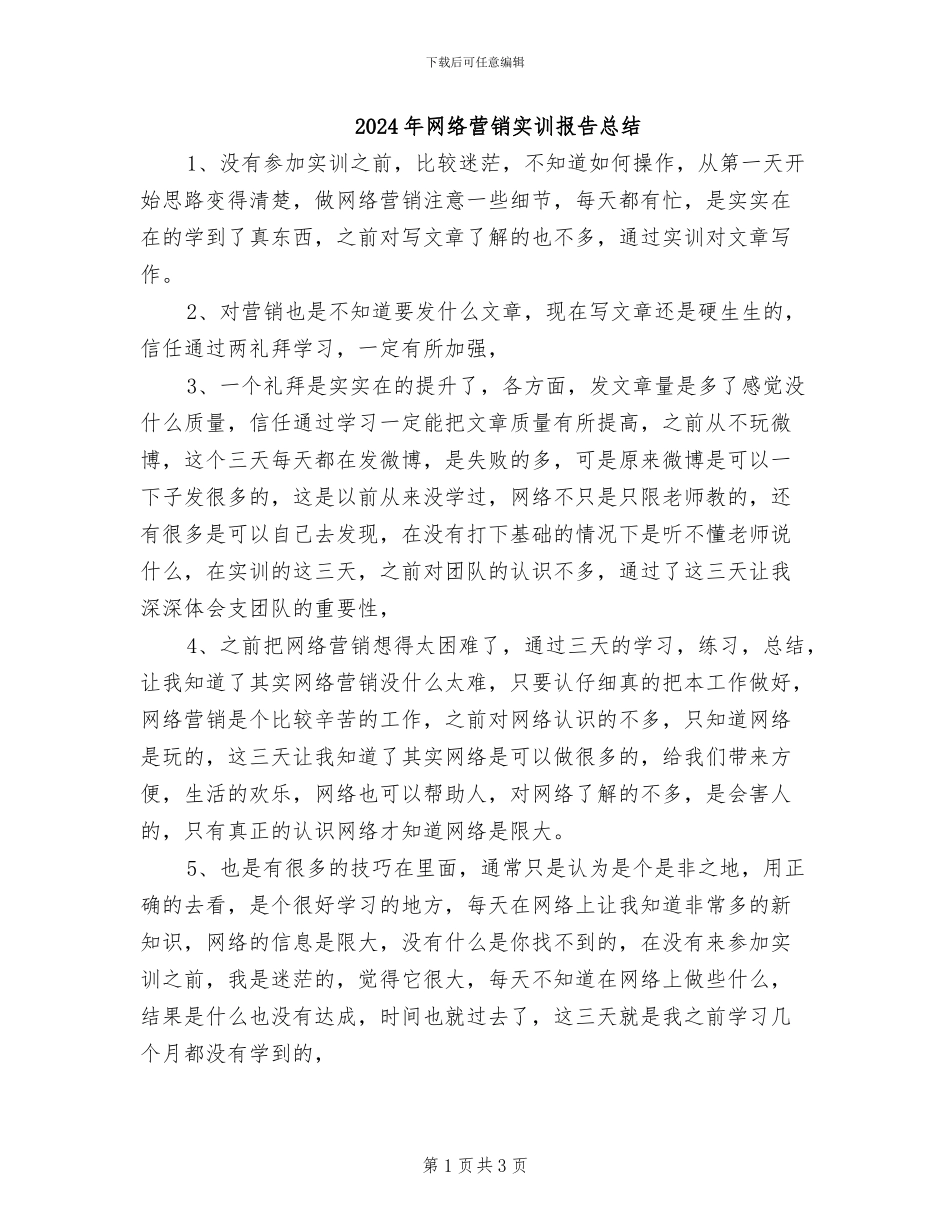 2024年网络营销实训报告总结_第1页