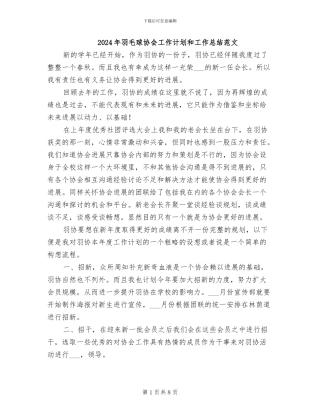 2024年羽毛球协会工作计划和工作总结范文