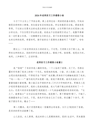 2024年老师实习工作感悟小结