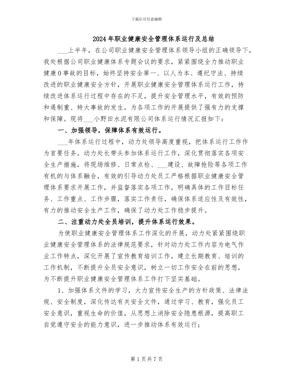 2024年职业健康安全管理体系运行及总结_第1页
