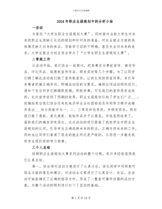 2024年职业生涯规划中的分析小结