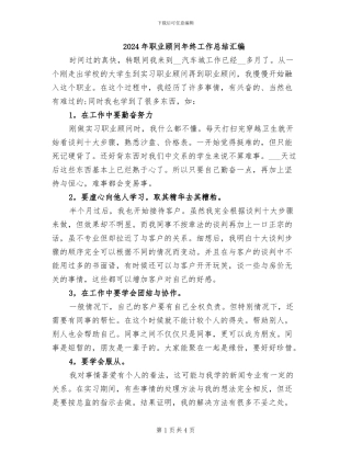 2024年职业顾问年终工作总结汇编