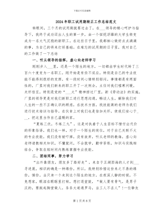 2024年职工试用期转正工作总结范文