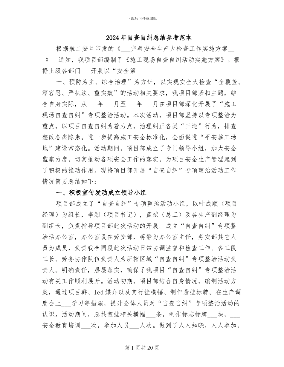 2024年自查自纠总结参考范本_第1页