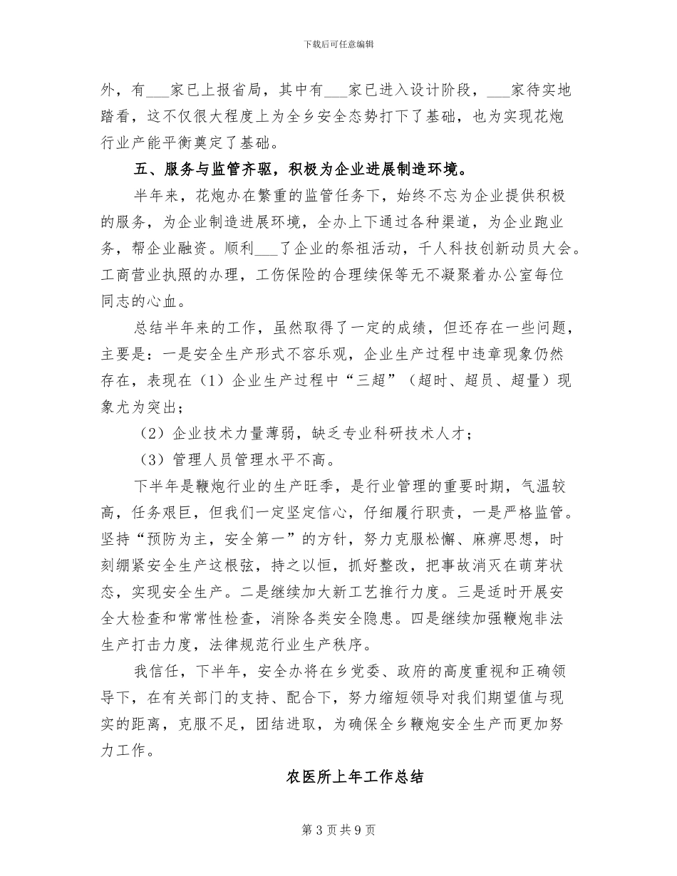 2024年花炮办上年工作总结_第3页