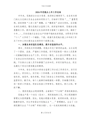 2024年花炮办上年工作总结