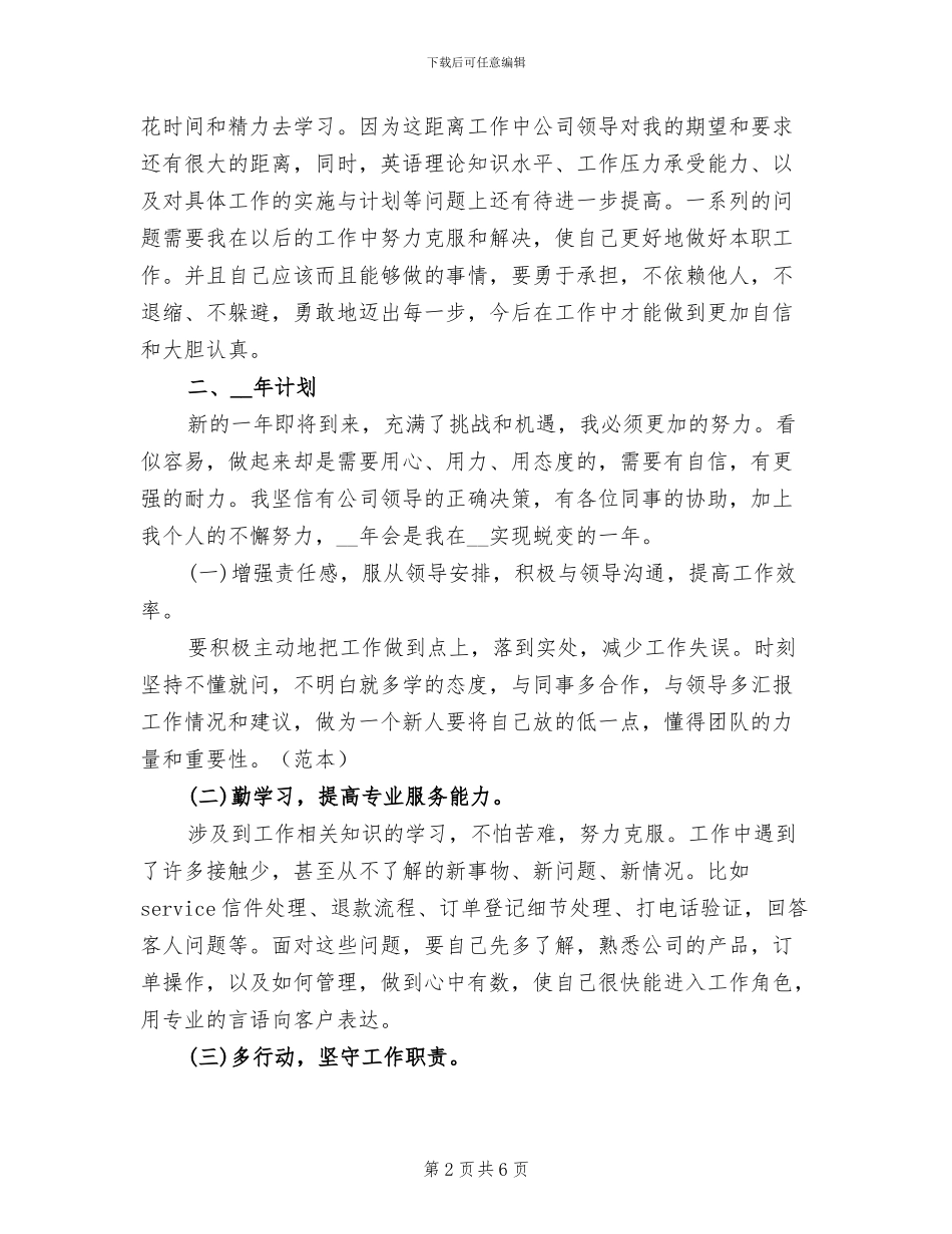 2024年英文客服工作总结_第2页