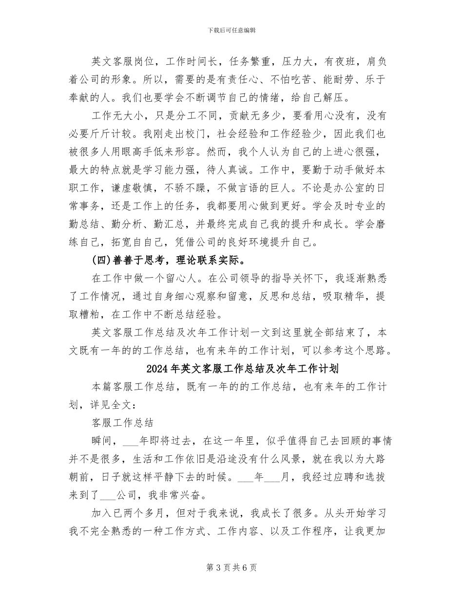 2024年英文客服工作总结_第3页