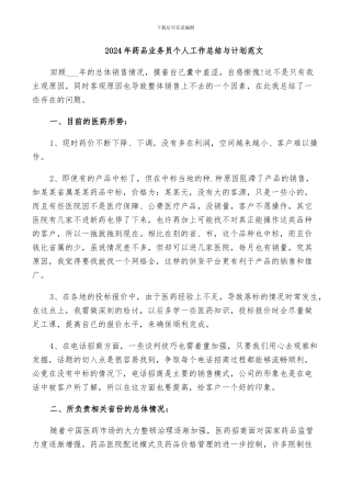 2024年药品业务员个人工作总结与计划范文