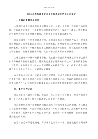 2024年药品销售业务员年终总结及明年计划范文